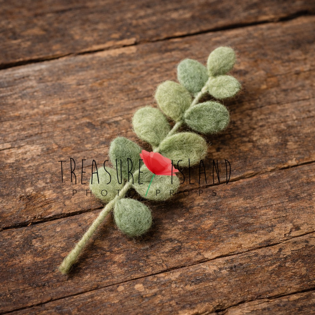 Eucalyptus Harmony Set – Hand-Felted Eucalyptus Branches for Newborn Photography - Koala sessions