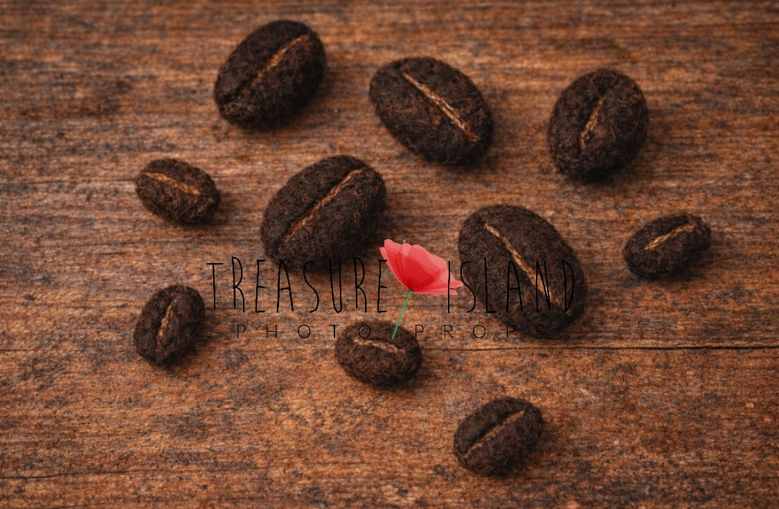 Felted Coffee Beans Set – Handmade Newborn Photography Props