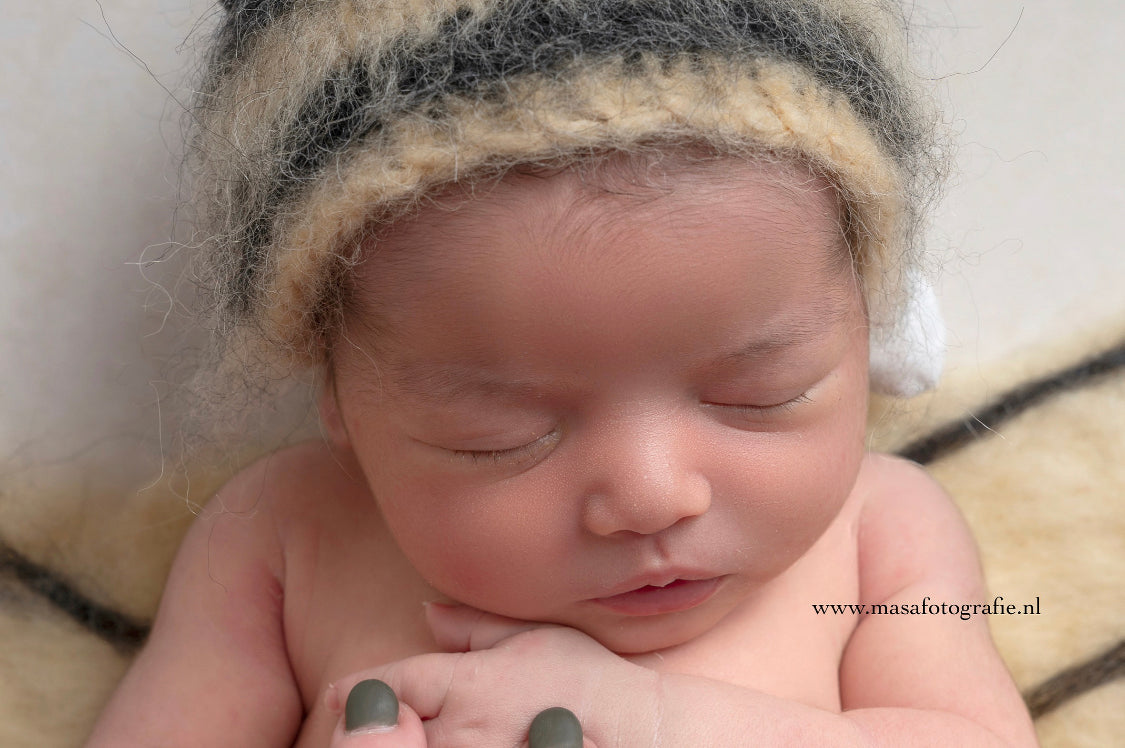 BEE SET - WINGS, outfit, bees, clouds, bowl- Photo Props