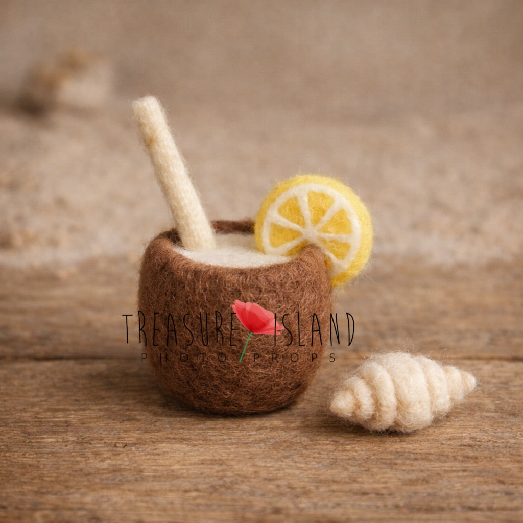 Little Coconut Lemon Drink – Hand-Felted Newborn Photography Prop Set
