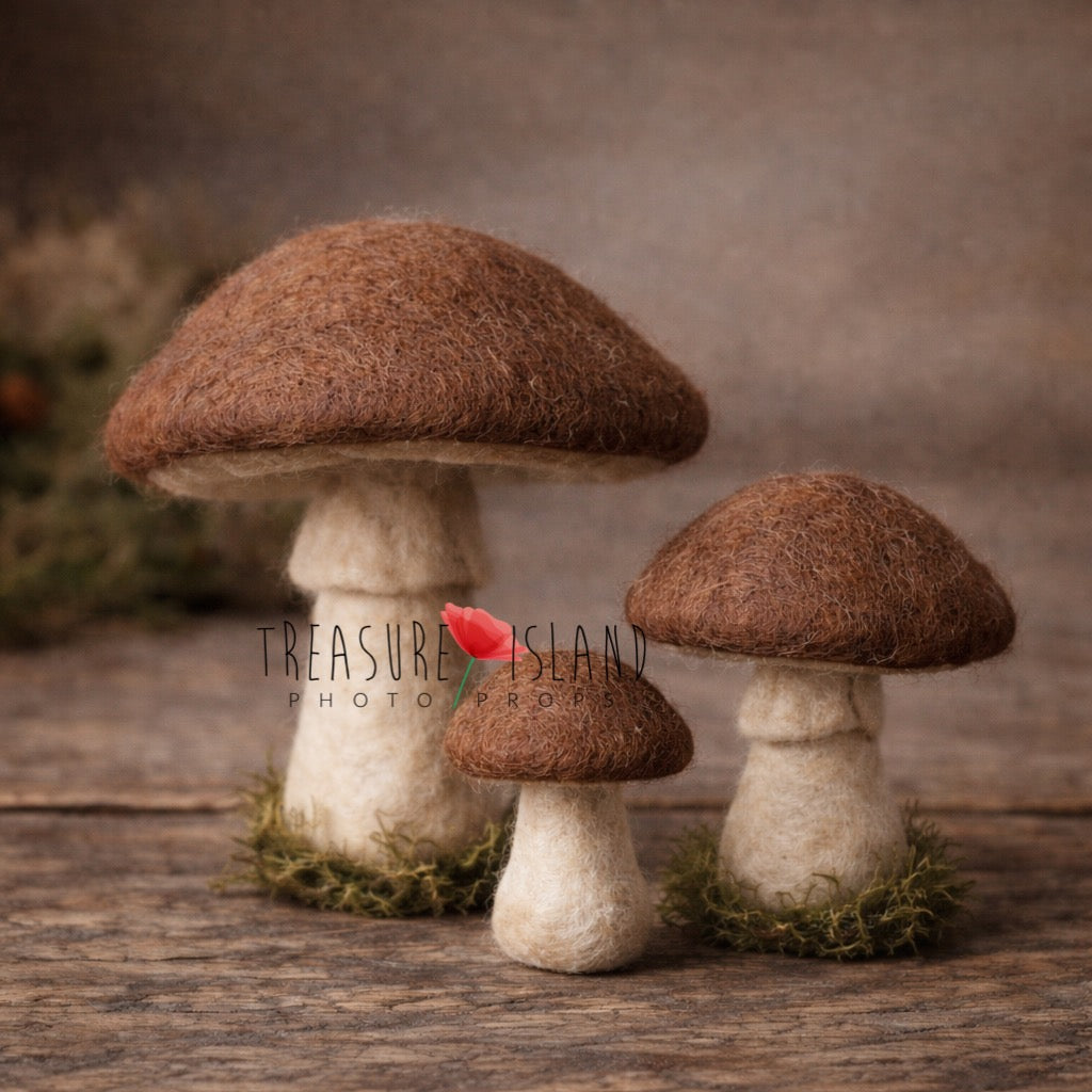 hand felted bolet mushrooms woodland newborn photography props natural forest mushroom set