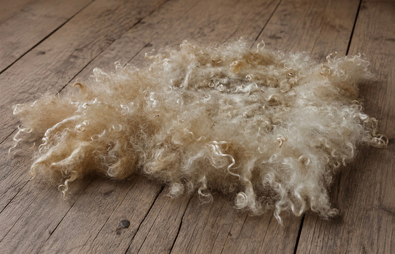 NATURAL BEIGE with Pearl White Curly Wool Blanket | Hand Felted Natural Sheep Curls Photography Prop