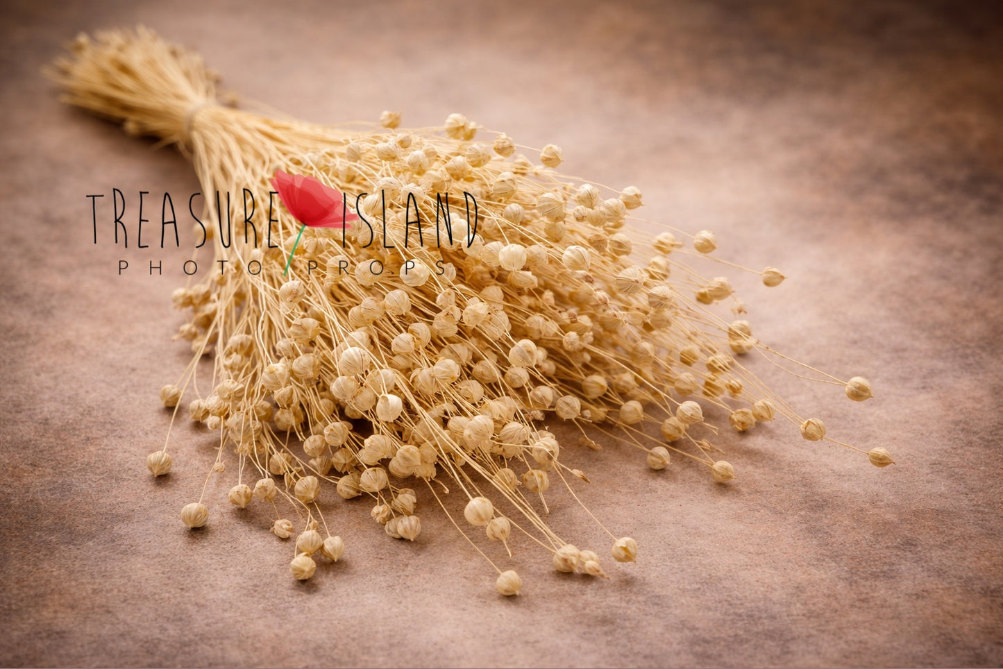 light dried botanical bouquet for fine art photography prop, airy floral styling element, neutral soft tones boho photography prop
