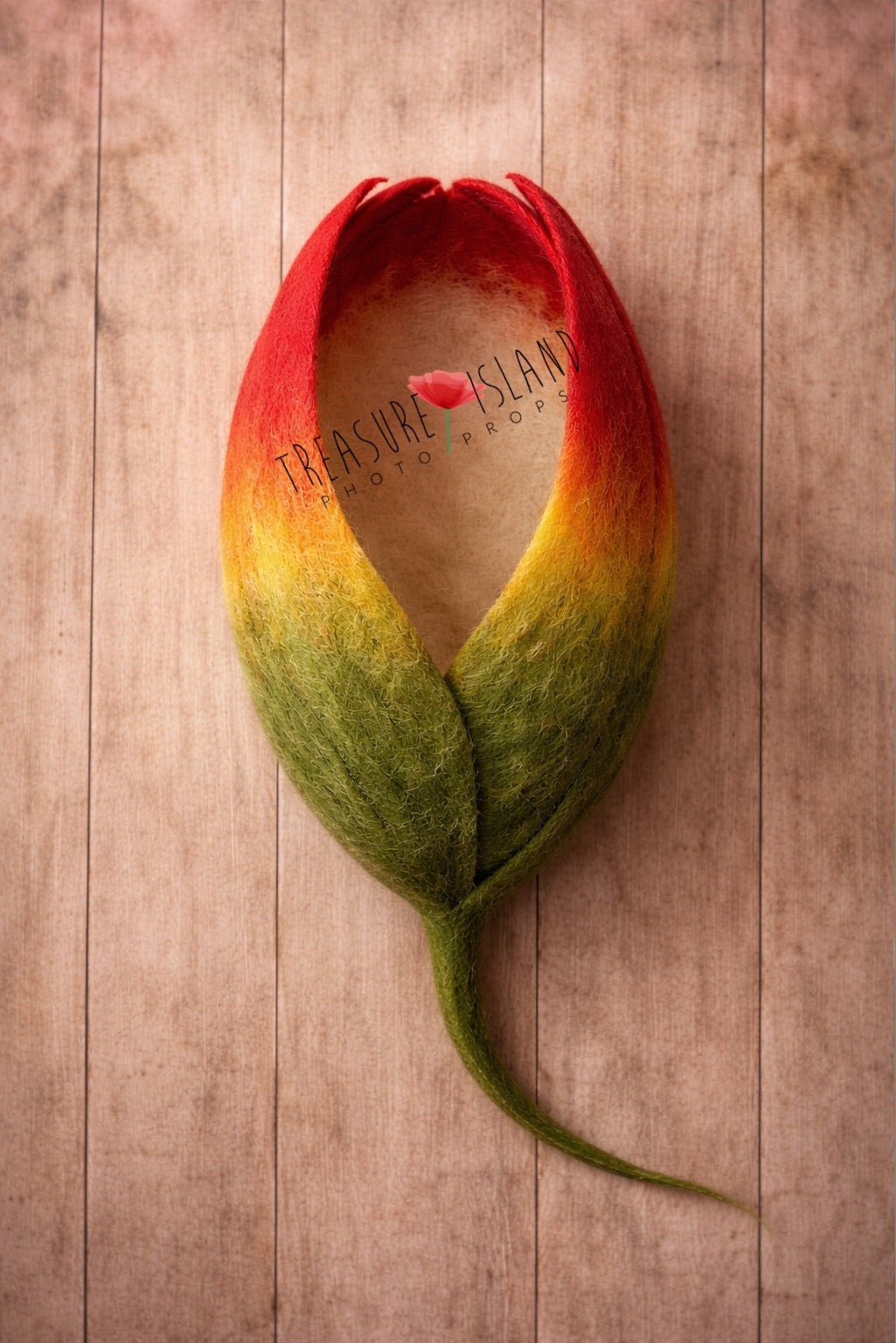 Crimson Tulip Cocoon Set a Unique Felted Props by Treasure Island Photo Props
