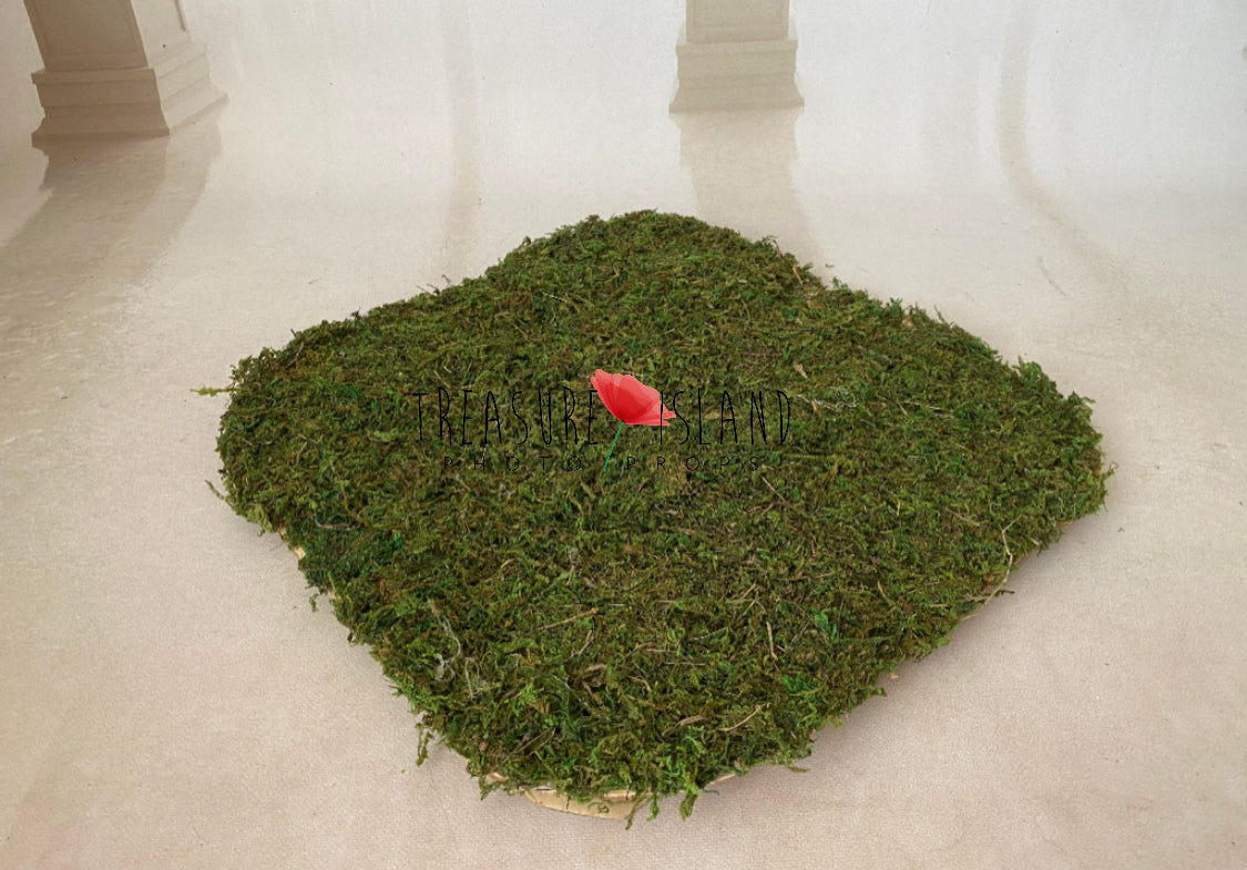 FOX SET - model 2 FOX HAT +FOX felt animals felt animal NEEDLE animal NEEDLE animals ✨AUTUMN PROPS