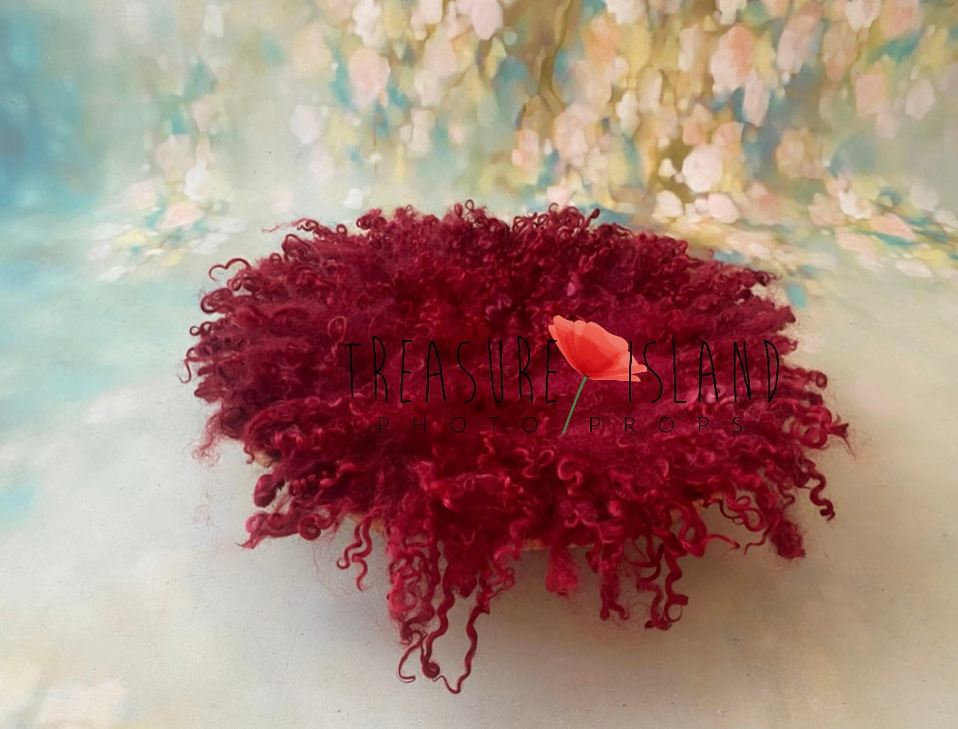 ✨CHRISTMAS CURLY BLANKET ❤️ CURLY RED blanket ❤️Valentine props