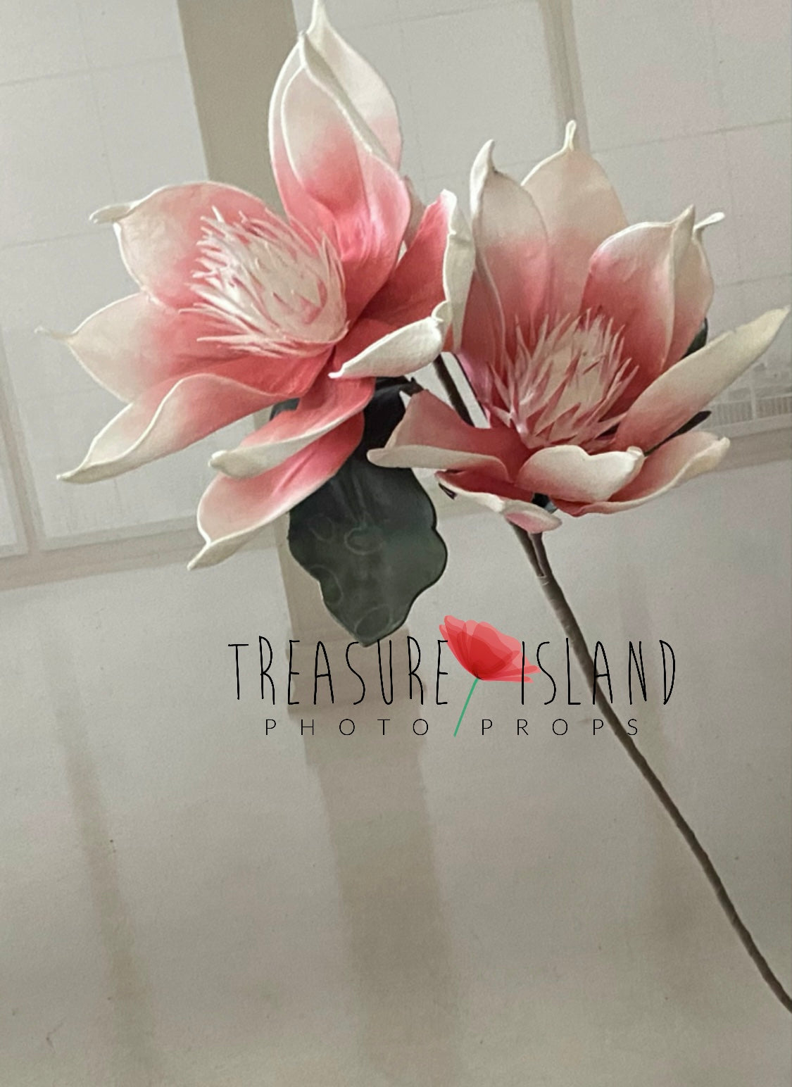 GIANT FLOWER✨HUGE EXOTIC FLOWER ✨FINE ART ✨ WHITE, PINK colour 107 cm