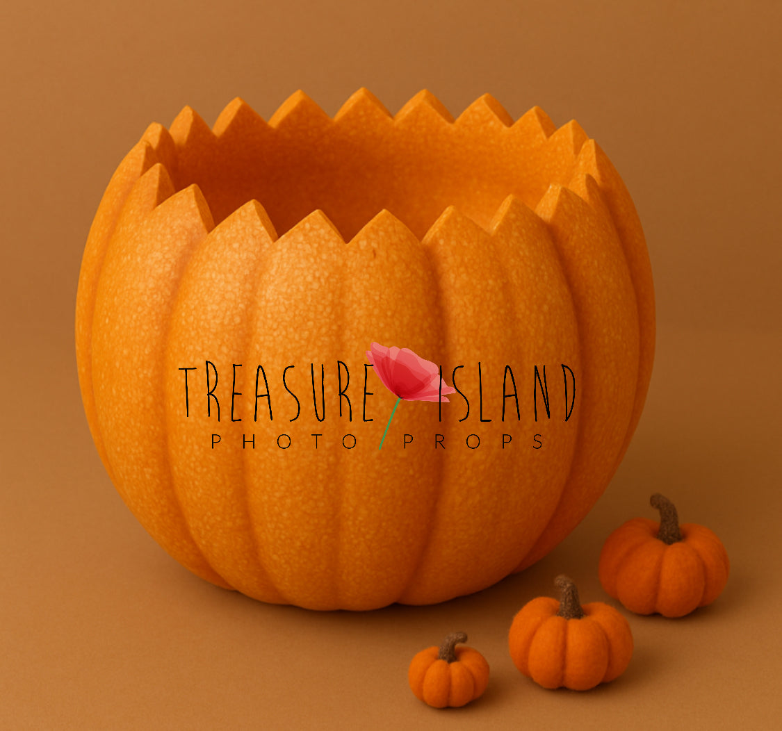 Classic orange pumpkin bowl with matching hand-felted mini pumpkins for newborn and sitter photography