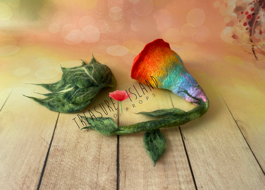 FELTED RAINBOW BOWL SET - π π« felted rainbow