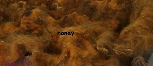 NATURAL CURLY SET Pillow + Layer