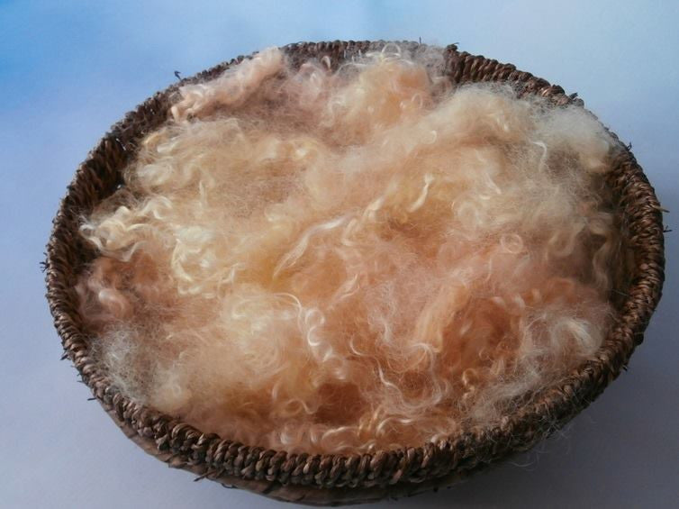 Fluffy Stuffers – Soft Wool Filler for Newborn & Sitter Props