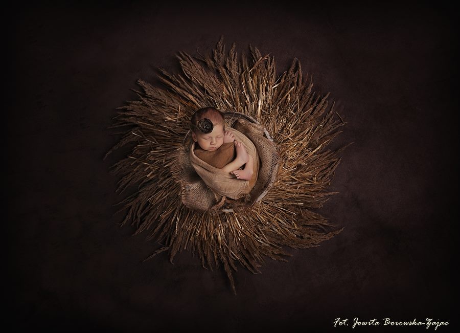 ナチュラルな夏の巣 - ボヘミアンスタイル