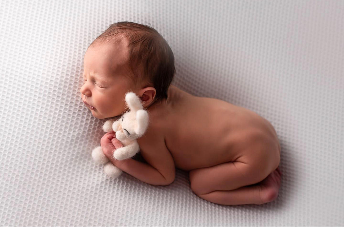 BUNNY SET for girl or boy felt animals felt animal NEEDLE animal NEEDLE animals