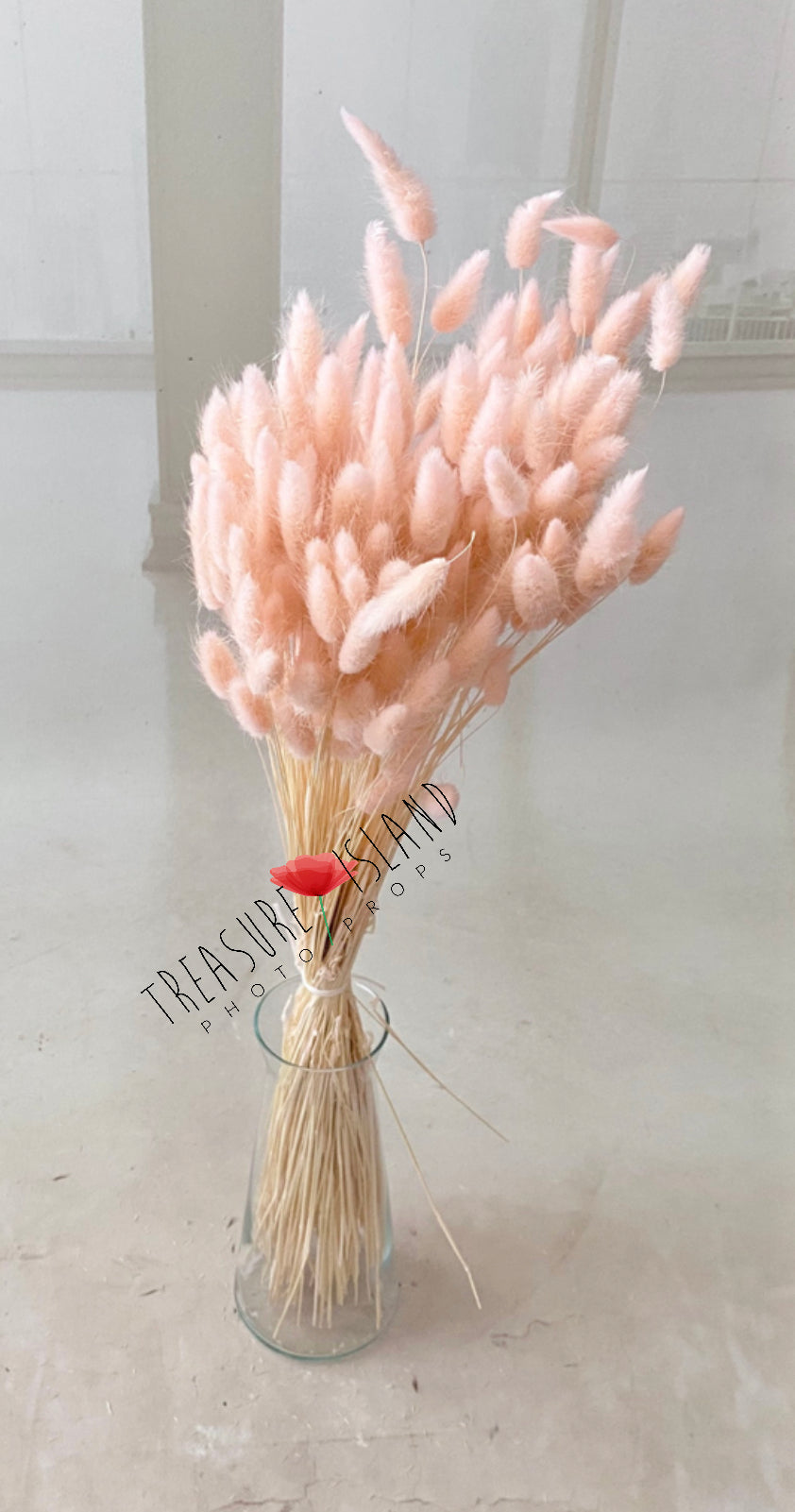 ✨NATURAL dried GRASS 60 cm✨BOHO design ✨