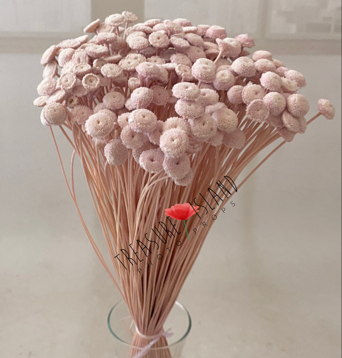 ✨ Bouquet of NATURAL dried grass 60 cm✨BOHO design ✨ colour to choose