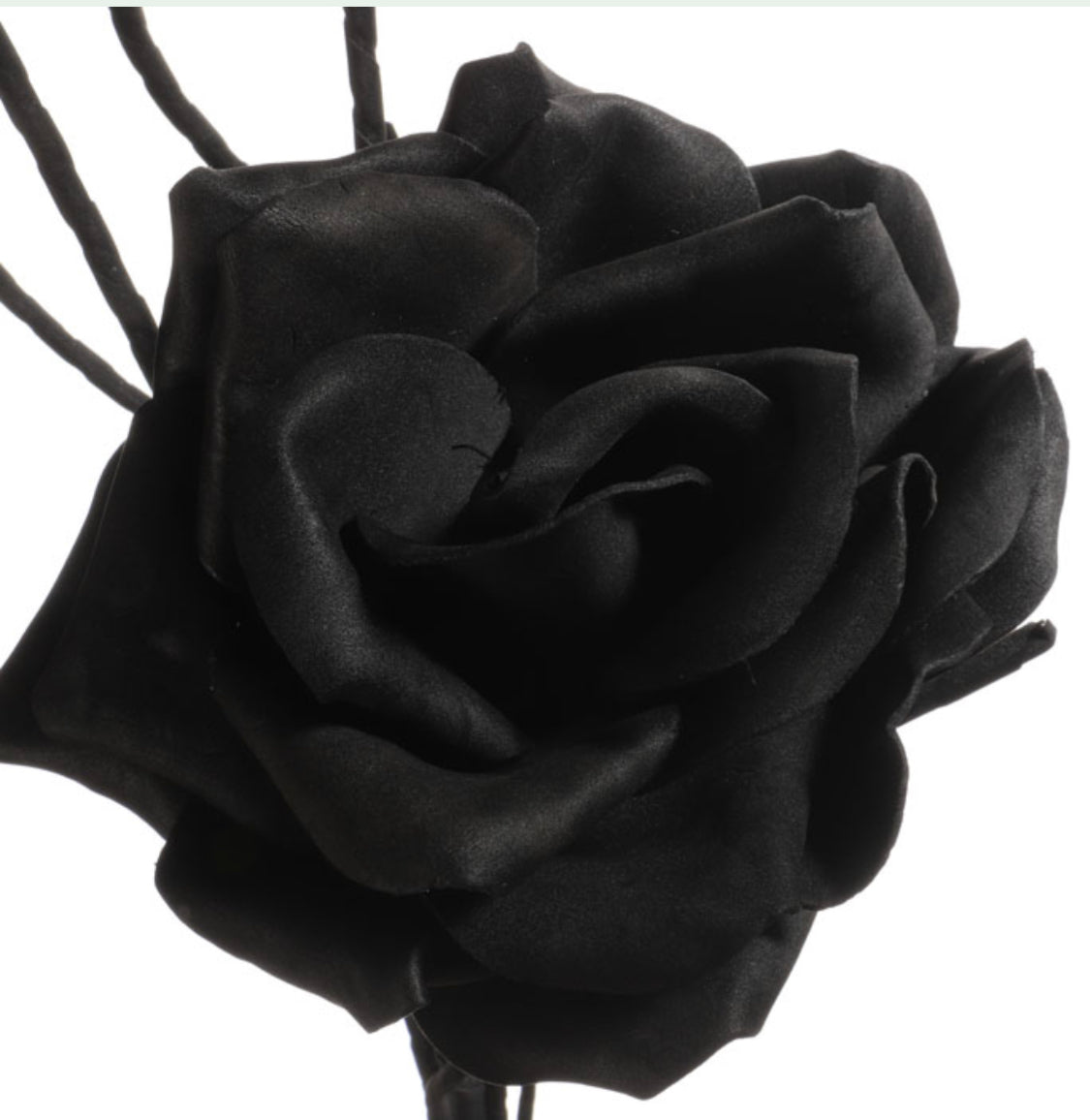 GIANT FLOWER ✨HUGE EXOTIC FLOWER ✨FINE ART ✨ WHITE, OLIVE, EGGPLANT colour 107 cm