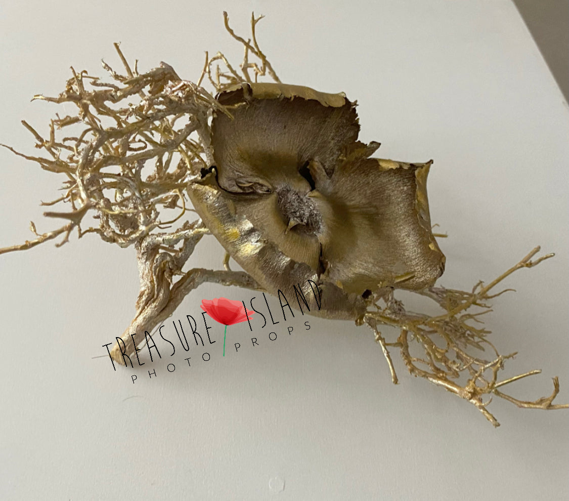 Fine Art Botanical Set – Gold Hand-Painted Dried Props