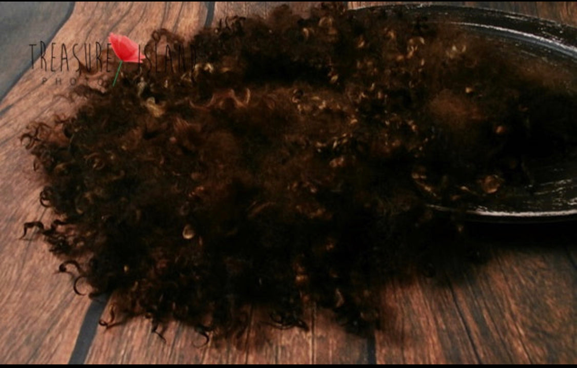 DARK CHOCOLATE Curly Wool Blanket | Hand Felted Natural Sheep Curls Photography Prop