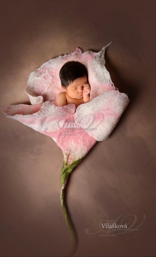 Felted Posing Flower for Newborn Photography