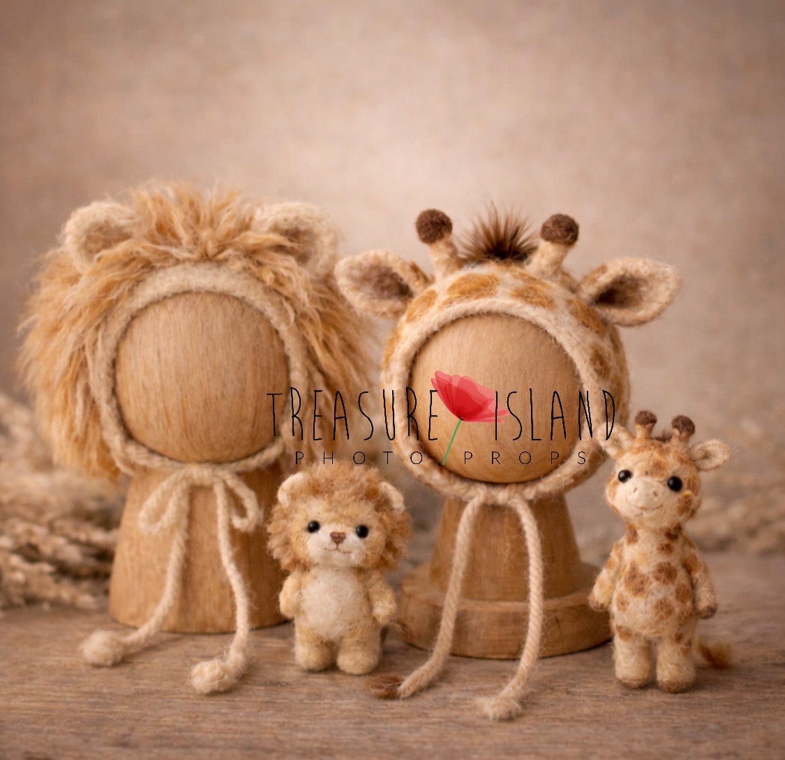 Safari Photography Collection