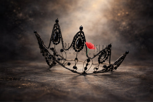 black crystal crown handmade wire tiara fine art photography gothic headpiece for adult model