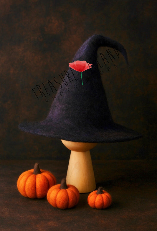 Hand-Felted Witch Hat – Halloween Prop for Newborn & Sitter Sessions