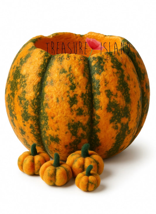 Styrofoam Pumpkin Bowl – PUMPKIN & GREEN  VIBE Autumn  Photo Prop