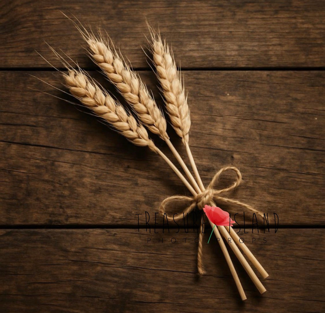 Meadow Harvest Miniatures – Hand-Felted Field Mouse Photography Set