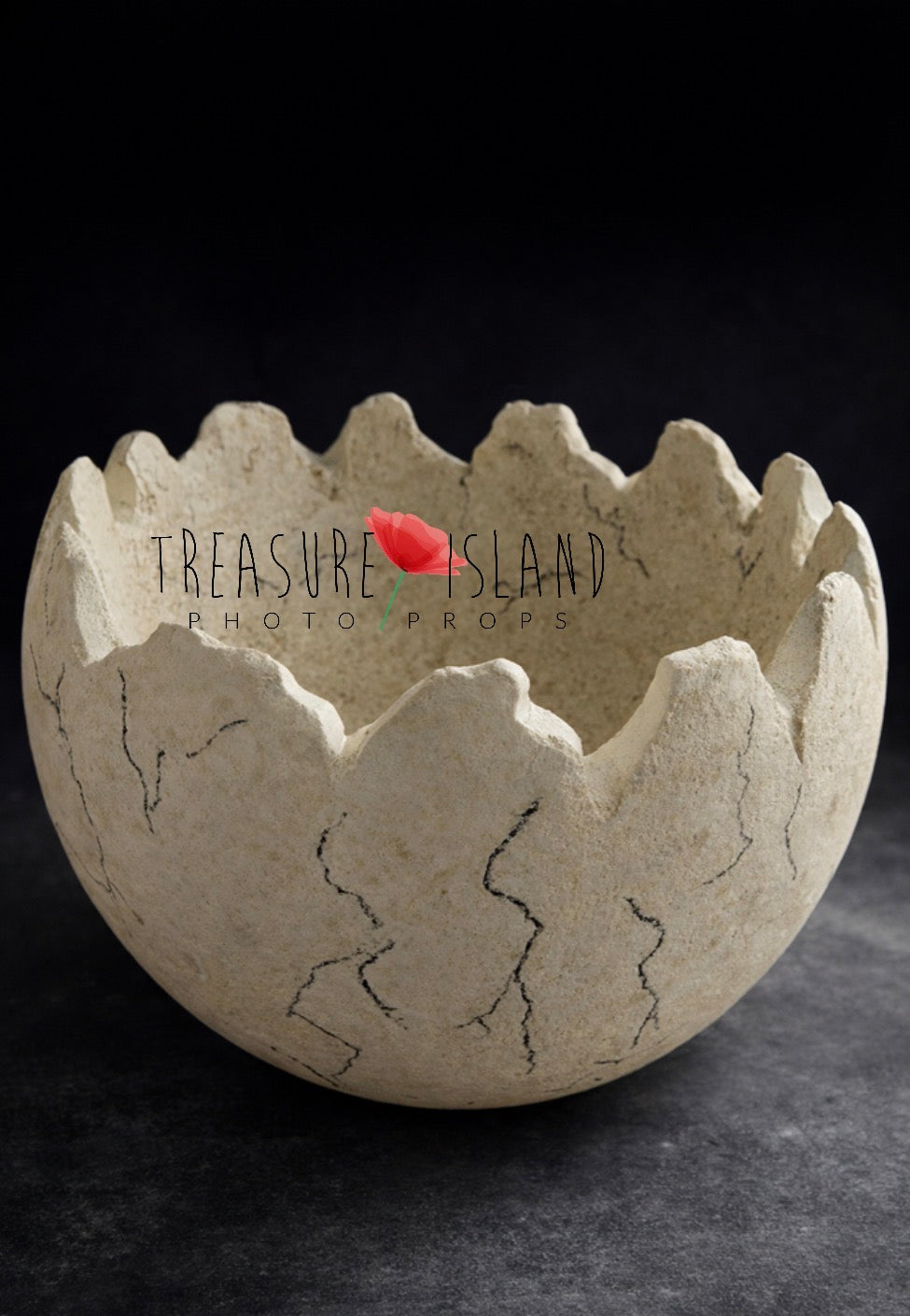 Luxury DINO Collection – Styrofoam Dinosaur Egg Shell 🥚