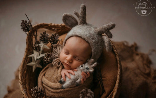 Felted Reindeer Set - Bonnet & Toy Prop for Newborn Photography