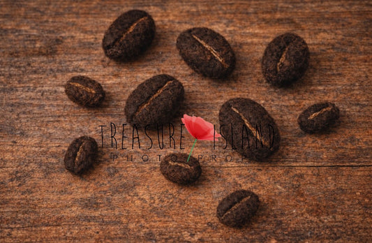 Felted Coffee Beans Set – Handmade Newborn Photography Props