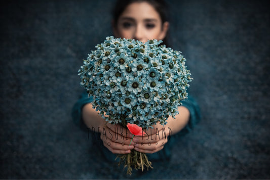 blue dried flower bouquet fine art photography prop dusty blue floral styling newborn maternity moody botanical prop In fine art photography session in use 