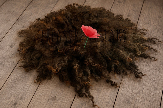 Dark Chocolate hand felted curly wool blanket with natural sheep curls for newborn photography