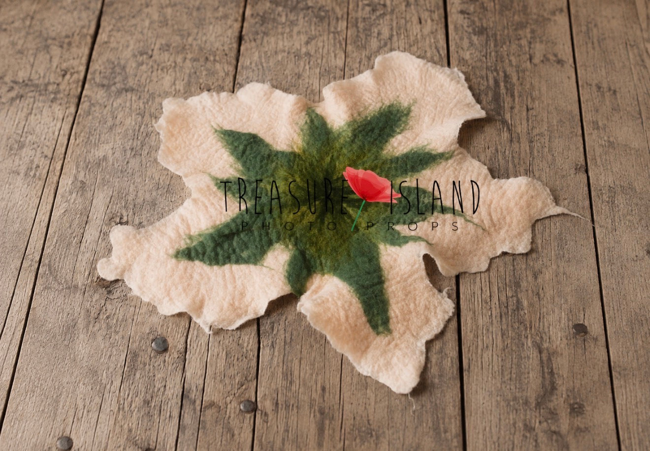 Hand Felted Flower Blanket - Newborn & Sitter Photography Prop