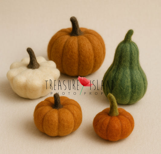Felted Pumpkins Set – Handmade Autumn Props (5 pcs)