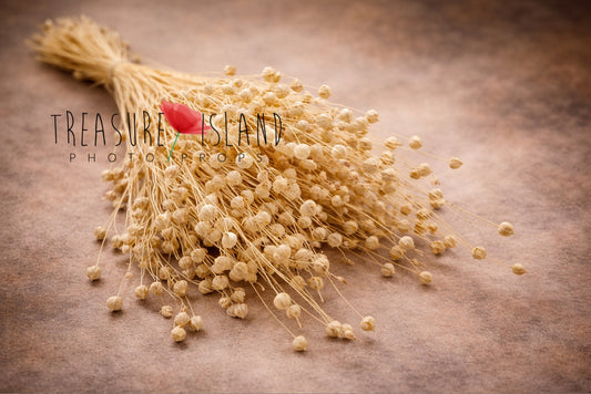 light dried botanical bouquet for fine art photography prop, airy floral styling element, neutral soft tones boho photography prop
