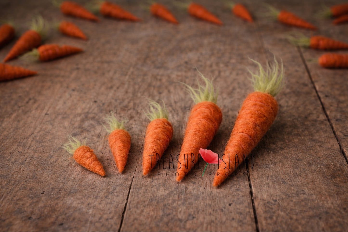 Hand felted wool carrots in five sizes (5–15 cm) displayed on rustic wooden floor, handmade newborn photography prop set with natural felt texture