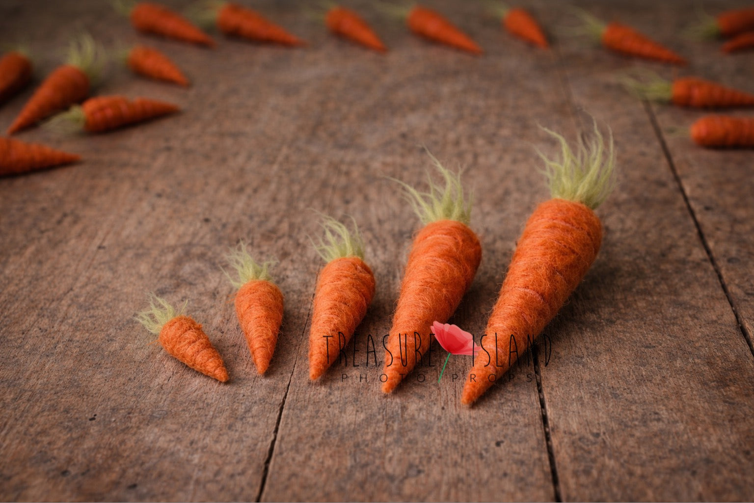 Hand felted wool carrots in five sizes (5–15 cm) displayed on rustic wooden floor, handmade newborn photography prop set with natural felt texture