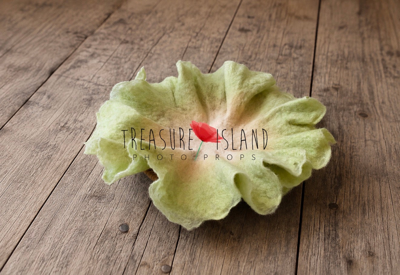 Felted Petal Nest Blanket - Newborn photo  props