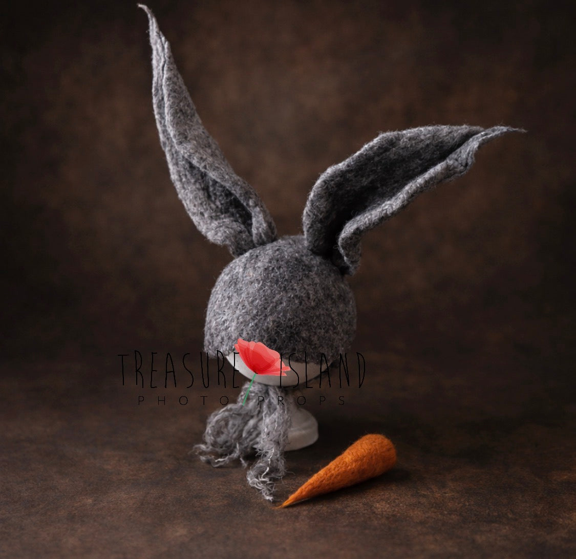 BUNNY SET 🥕 RABBIT SET 🥕Easter Props