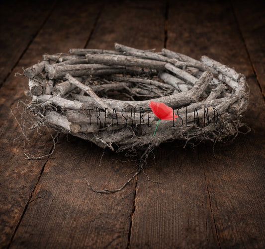 Handcrafted Twig Nest Prop | Newborn & Sitter Photography