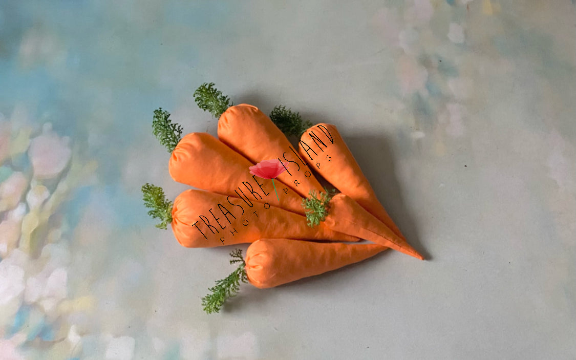 ✨EASTER CARROT✨3 sizes✨photo props