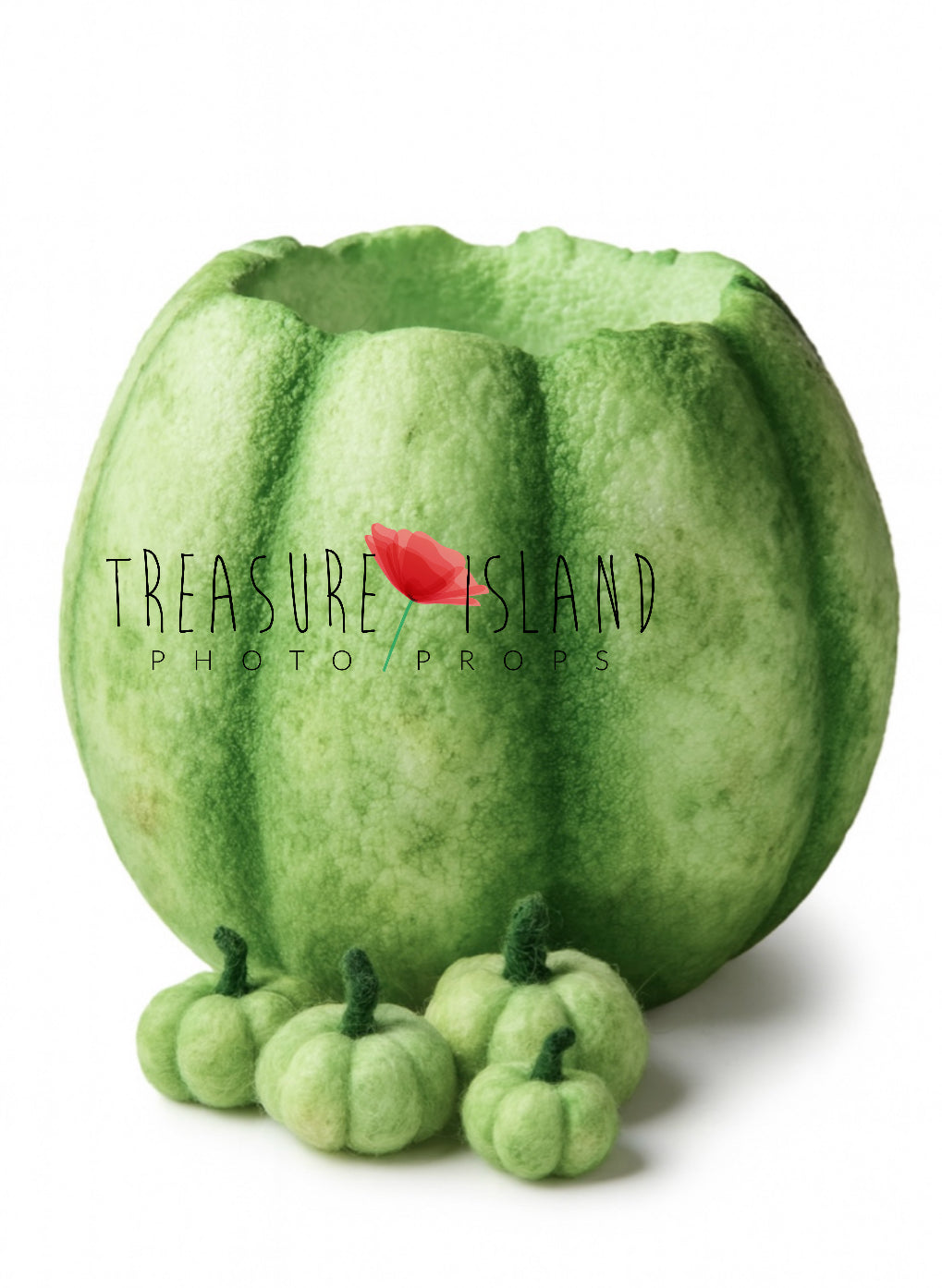 Styrofoam Pumpkin Bowl – GREEN Mix VIBE Autumn  Photo Prop