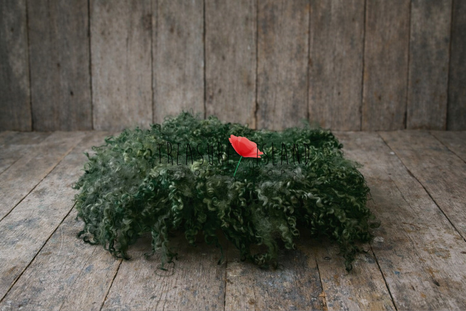 Dark green curly wool newborn photography layer on distressed vintage wooden floor – handmade flokati style posing mat for baby photoshoot