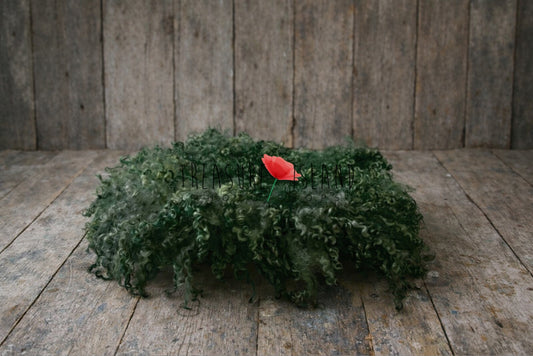 Dark green curly wool newborn photography layer on distressed vintage wooden floor – handmade flokati style posing mat for baby photoshoot