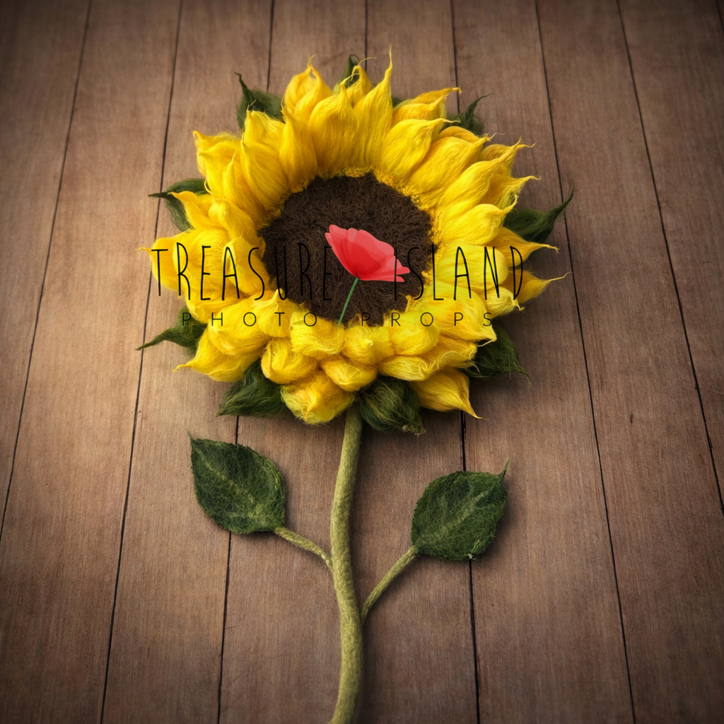 Handfelted sunflower newborn photography prop on rustic wooden floor, yellow wool petals with dark brown center, baby photo prop by Treasure Island Photo Props