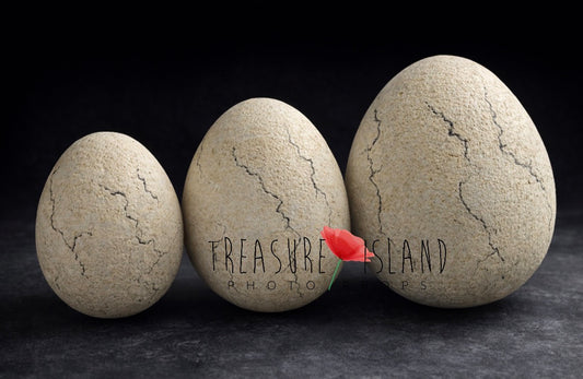 恐竜の卵のデコレーション