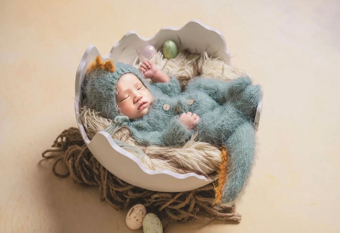 Dinosaur Egg Shell – Plaster Edition - Luxury Dino Collection