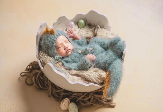Dinosaur Egg Shell – Plaster Edition - Luxury Dino Collection