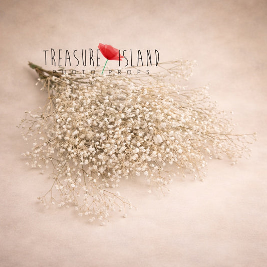 dried baby breath bouquet fine art photography prop ivory floral styling newborn maternity soft airy flowers
